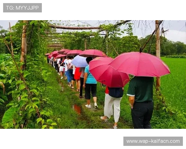 掌握K8电子注册的关键步骤让你轻松开启线上娱乐新体验