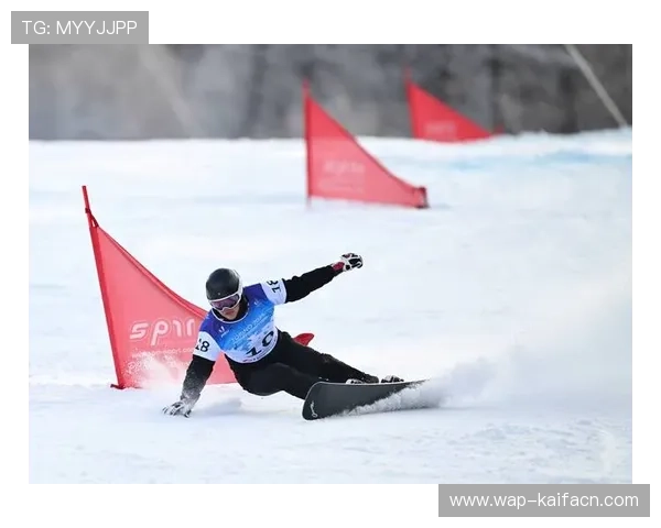 K8体育大全涵盖丰富的体育知识库满足不同运动爱好者的需求 K8体育大全涵盖丰富的体育知识库满足不同运动爱好者的需求